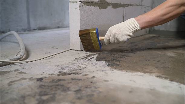 24/7 Emergency Interior Drainage System experts in Attica, MI